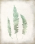 Picture of WATERCOLOR FERN 3 VINTAGE