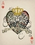 Picture of ACE 1