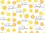 Picture of SUNSHINE