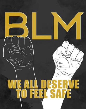 Picture of BLM 1