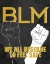 Picture of BLM 1