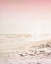 Picture of BEACH PINK 2