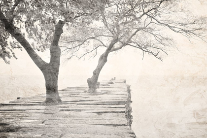 Picture of TREE PIER