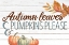 Picture of AUTUMN LEAVES