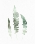 Picture of WATERCOLOR GREENS 3