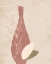 Picture of VASE 1