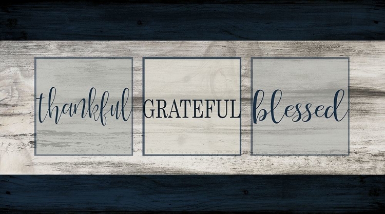 Picture of THANKFUL GRATEFUL BLESSED PLANK
