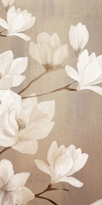 Picture of MAGNOLIA PANEL 1