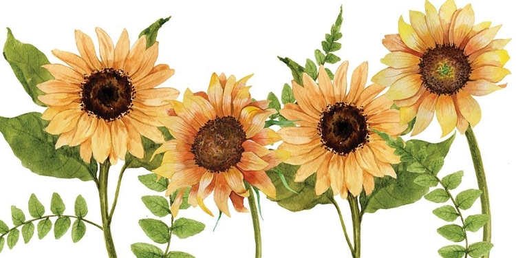 Picture of SUNFLOWER LETTERS V2