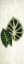 Picture of BOTANICAL GREENS 2