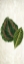 Picture of BOTANICAL GREENS 3