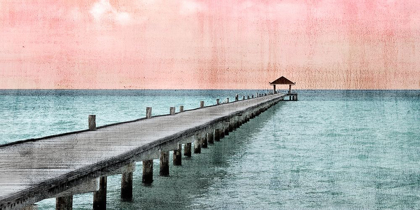 Picture of PARADISE PINK