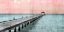Picture of PARADISE PINK