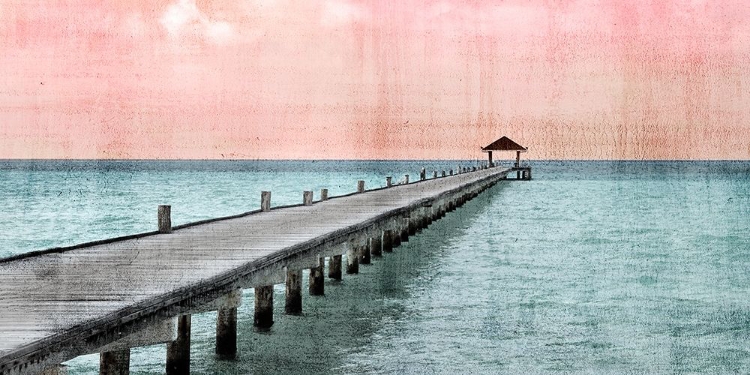 Picture of PARADISE PINK