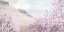 Picture of HILLSIDE PINK
