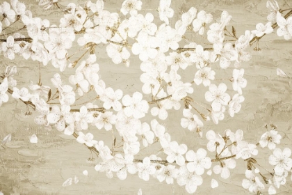 Picture of MAGNOLIAS