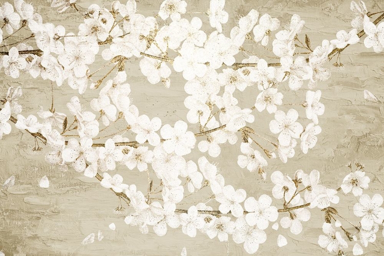 Picture of MAGNOLIAS
