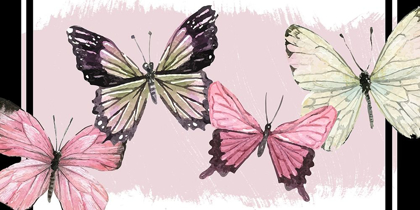 Picture of BRAVE WINGS 3