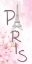 Picture of CHERRY BLOSSOM PARIS 1