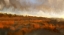 Picture of MARSHLAND