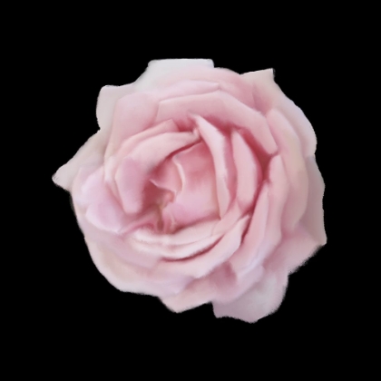 Picture of PERFUME ROSES 2