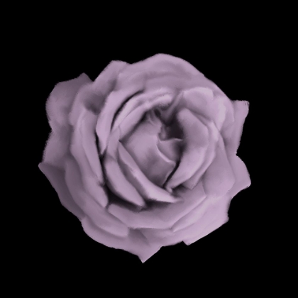 Picture of PERFUME ROSES 3