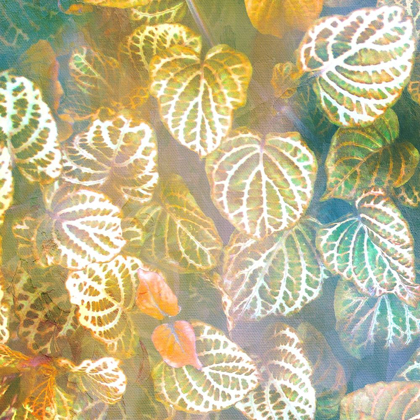 Picture of JUNGLE LEAVES 1
