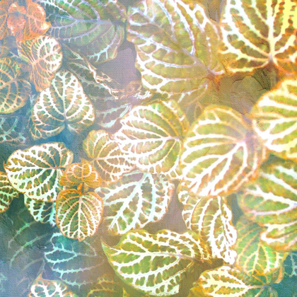 Picture of JUNGLE LEAVES 2