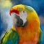 Picture of PARROT LOVE