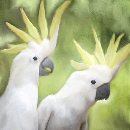 Picture of TWO