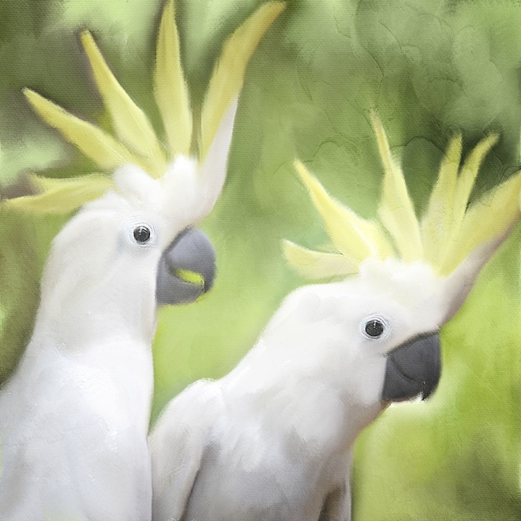 Picture of TWO