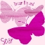 Picture of SOAR 1