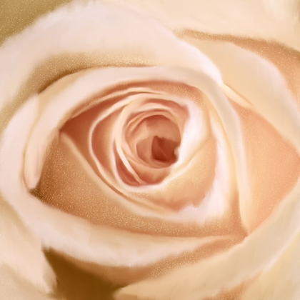 Picture of ROSEY