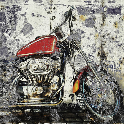 Picture of GRUNGE BIKE 1