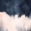 Picture of BLUE BLUSH
