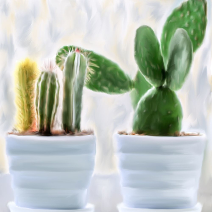 Picture of CACTUS