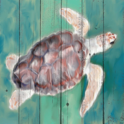 Picture of SEA TURTLE
