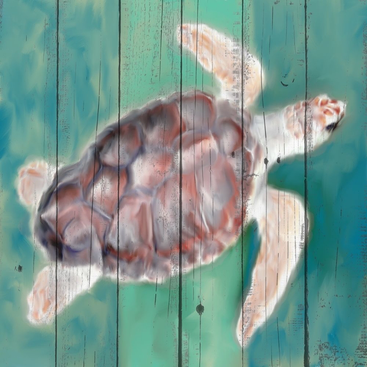 Picture of SEA TURTLE