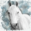 Picture of DREAMER