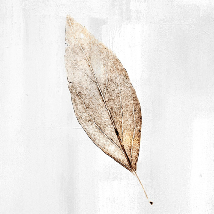 Picture of GOLDEN LEAF 1