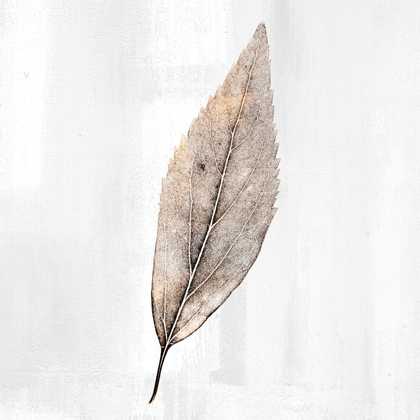 Picture of GOLDEN LEAF 2