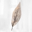 Picture of GOLDEN LEAF 2