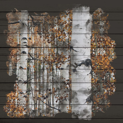 Picture of ASPEN WOOD 1