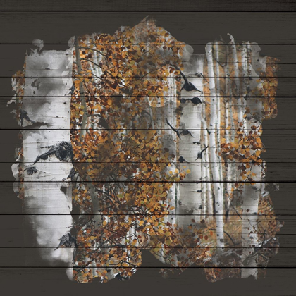 Picture of ASPEN WOOD 2