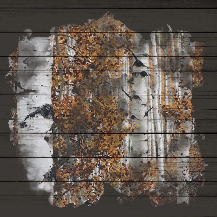 Picture of ASPEN WOOD 2