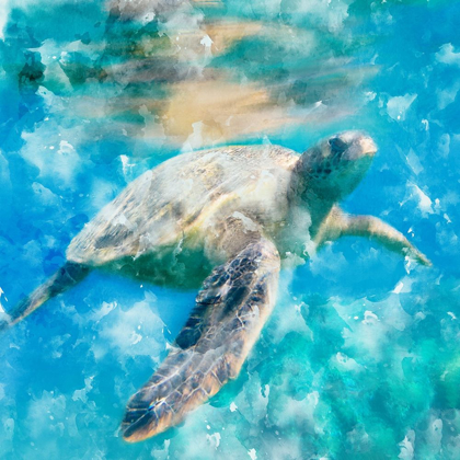 Picture of DEEP BLUE