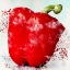 Picture of VEGGIES 1