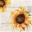 Picture of SUNFLOWER POSTCARD 2