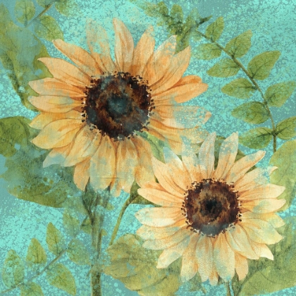 Picture of SUNFLOWER TEAL