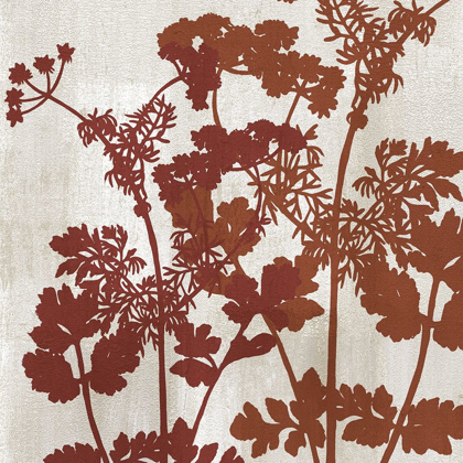 Picture of BOTANICAL